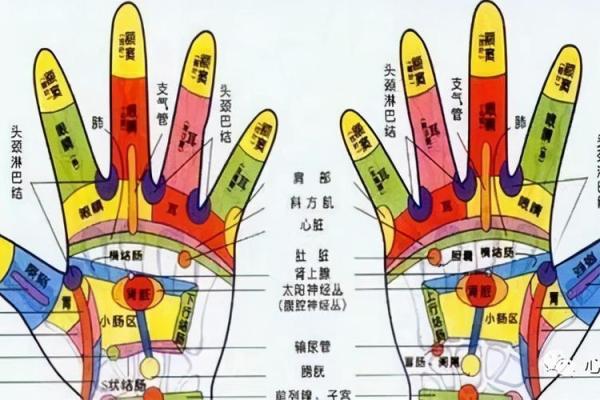 运气手相解析：你的手掌暗示了哪些幸运与挑战