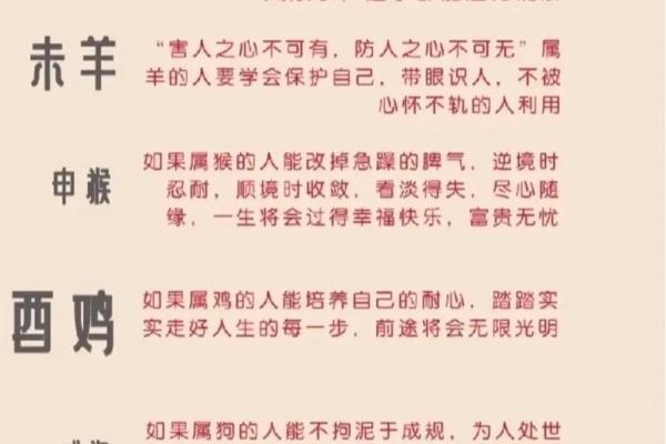 八字命理对学业运势的深刻影响与解析