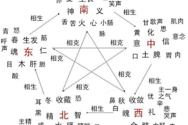 马字在五行中属于什么？深入解析其五行属性