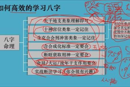 初学者如何入门命理学并应用到生活中