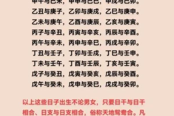 中华预测网四柱八字排盘解析与应用技巧