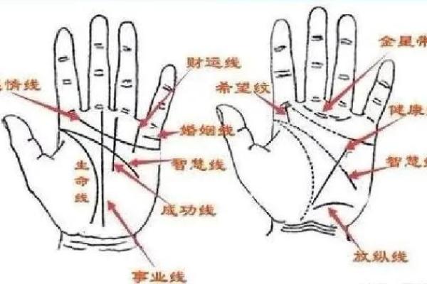 手相揭秘与指纹盗用：你未曾注意的安全漏洞