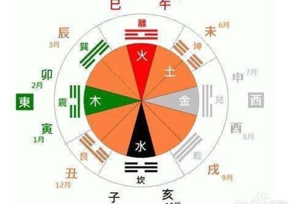 菲字五行属性解析及其在命理中的意义