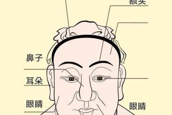 如何从额头看面相分析个性与运势