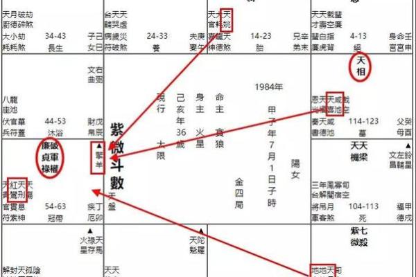 紫微斗数与命运改变的可能性