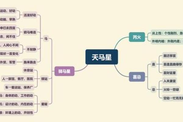 解读紫微斗数中的十二宫位