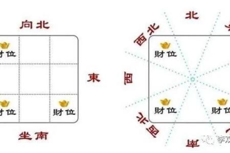 兰花与财位风水的完美搭配提升财运的技巧