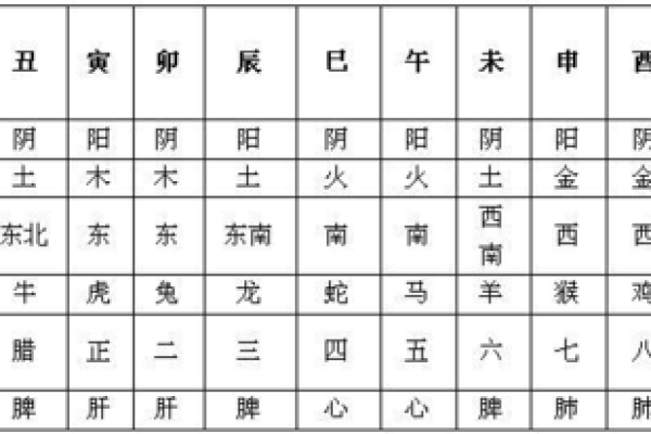 白字五行属性解析及其文化含义