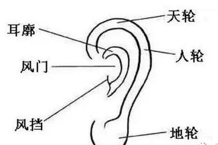 面相骨相学：从脸部轮廓到骨骼结构看一个人的性格与运势