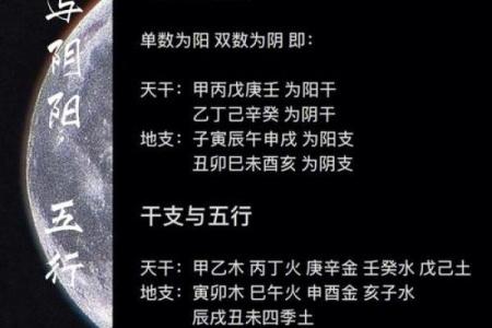 如何通过六壬排盘预测未来