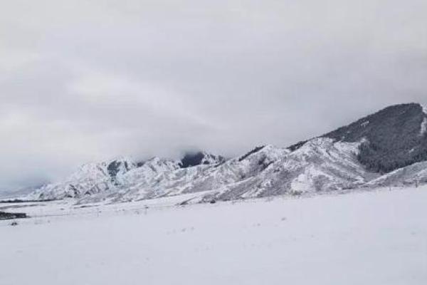 风水中的雪象征：结婚时下雪是否意味着吉祥