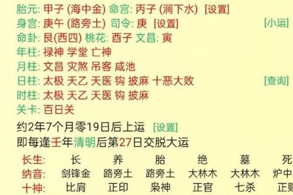 生日时辰八字查询表解析与应用指南