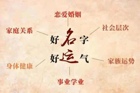 从女人的鼻子看命运：面相学中的鼻型影响力分析