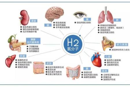 理解人体工程风水对健康的深远影响