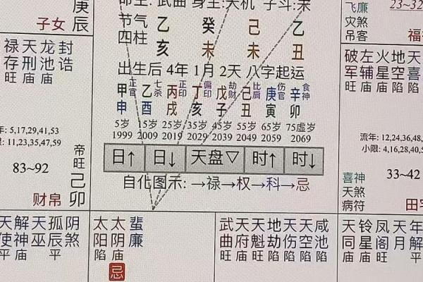 紫微斗数中的财运星解析