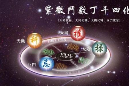 紫微斗数中的月德星与生活和谐