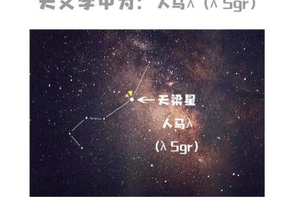 紫微斗数中的天梁星与人际合伙