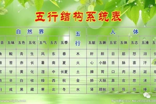 春字五行属性解析与深层意义探讨