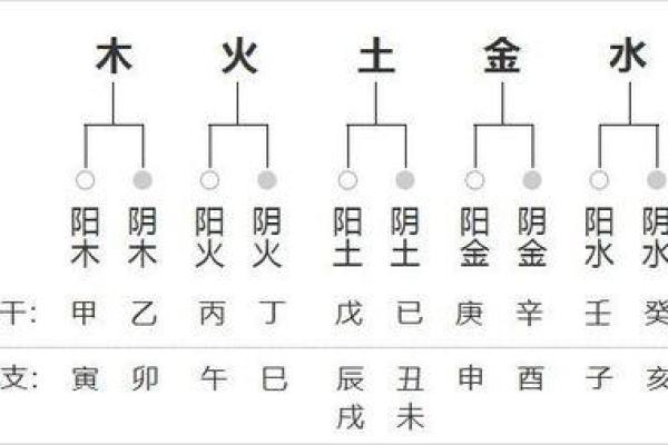 黄字的五行属性分析及其在命理中的意义