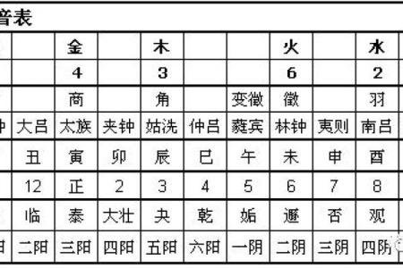 芷字的五行属性解析及其影响因素