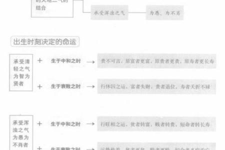 龙隐排盘与传统八字命理的比较分析