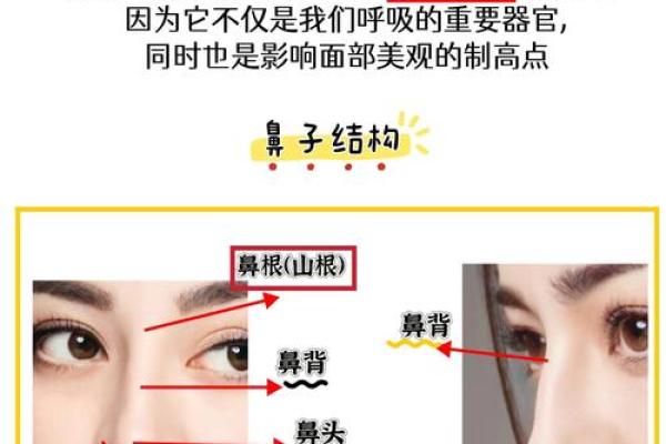 高眉骨面相特征及其对个性和运势的影响