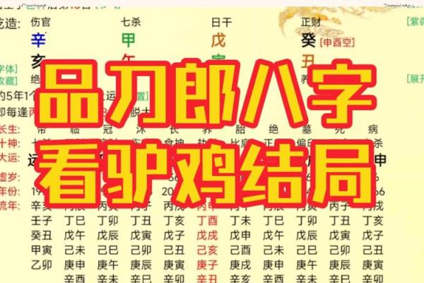 如何通过八字纯阴命理分析揭示人生潜力与挑战