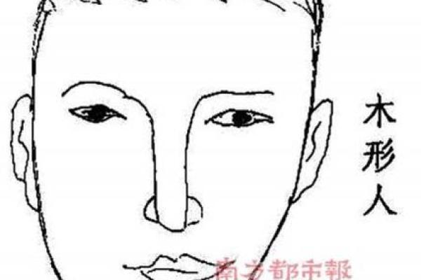 面相学中的好面相男人特点分析