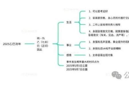 如何理解己土命的命运走向与运势变化