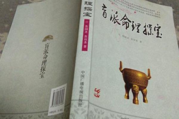 苏国圣盲派八字排盘：揭开传统命理中的神秘面纱