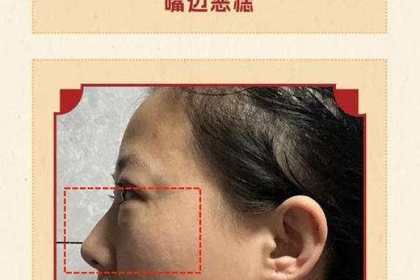 短鼻子面相解析：如何影响个人运势与性格特点