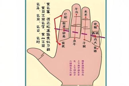 命理学的基本概念与实践探索