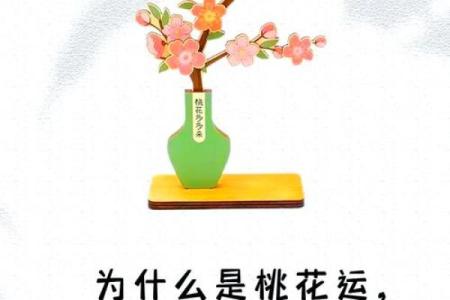 生辰八字如何揭示桃花运的奥秘