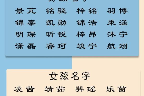 属猪宝宝名字大全，带来好运的独特名字