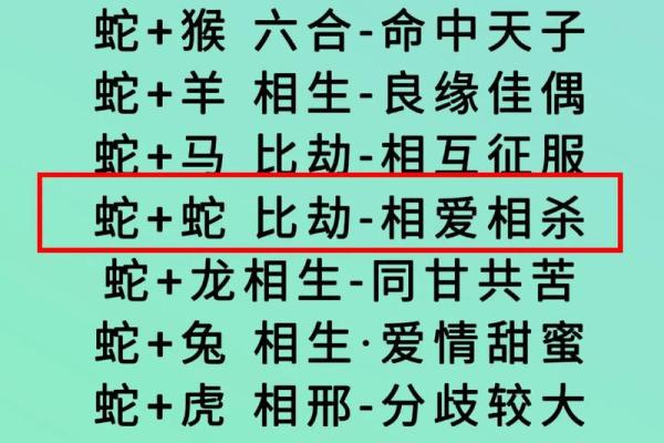 生肖相冲的生肖之间如何和谐相处