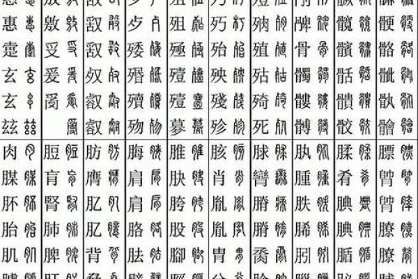 楷字五行属性解析与命理影响