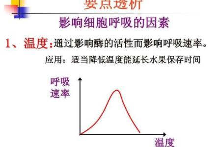 如何理解命理价格的差异与影响因素