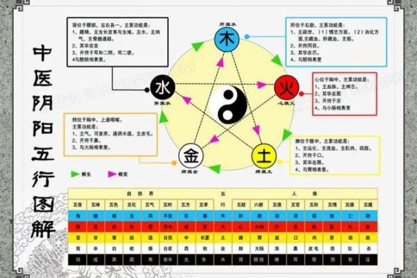 张五行属什么与命理分析解析