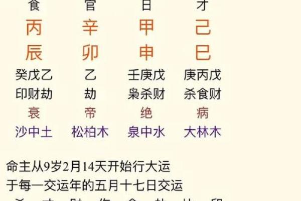 生辰八字查询表免费在线解读与分析方法