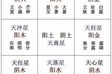 家居风水改运：室内布局中的关键元素