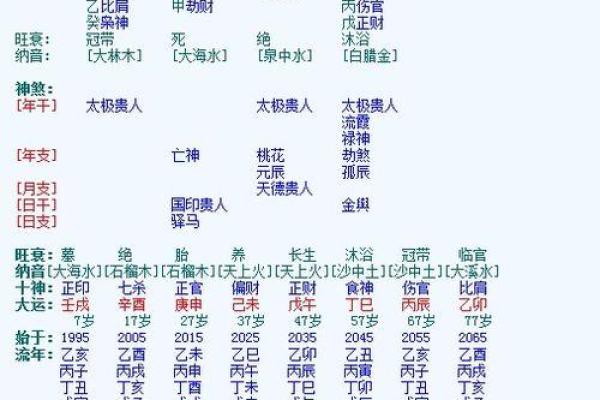 己巳命理解析：深入探讨五行与命运的深层联系