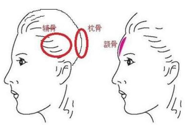 额骨面相分析：额头高低是否决定事业成功