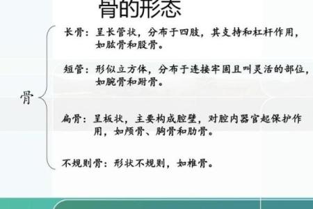 深度解析面相骨相：骨骼形态如何影响你的生活轨迹