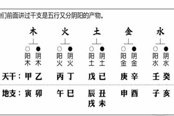 芸字的五行属性及其在命理中的意义