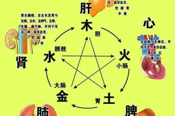 五行中的五色与其象征意义探讨