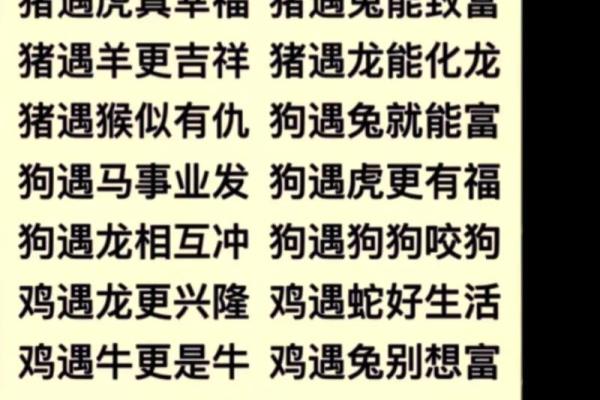 生肖相冲与事业突破的阻力分析