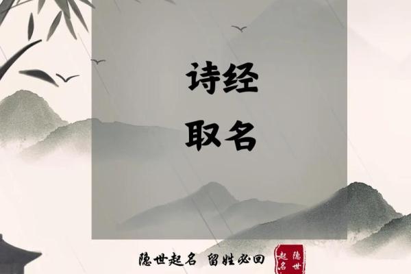 诗经取名智慧：为女宝宝挑选优雅寓意的经典名字