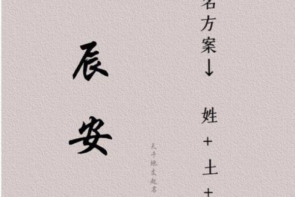 免费公司起名网站如何帮你避免选择雷同名字