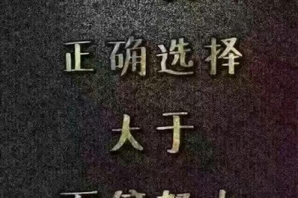 楼层高度对命运的影响及选择指南