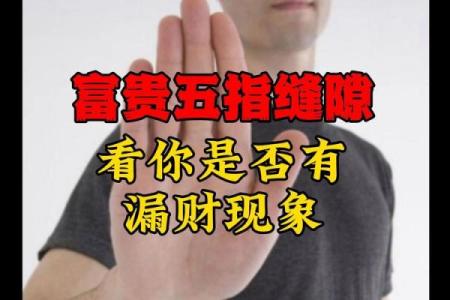 手相软件下载：如何选择最适合你的掌纹分析应用